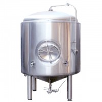 20HL turnkey craft bright beer tank for sale